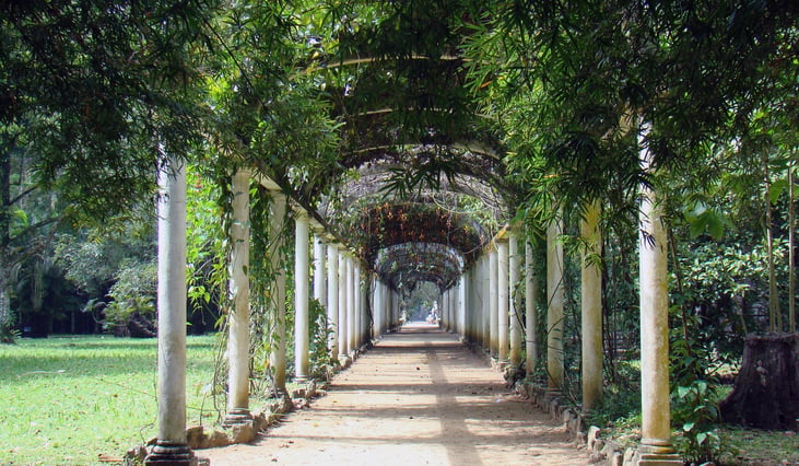 Botanischer Garten in Rio de Janeiro