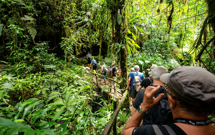 Amazonas regenwald tour