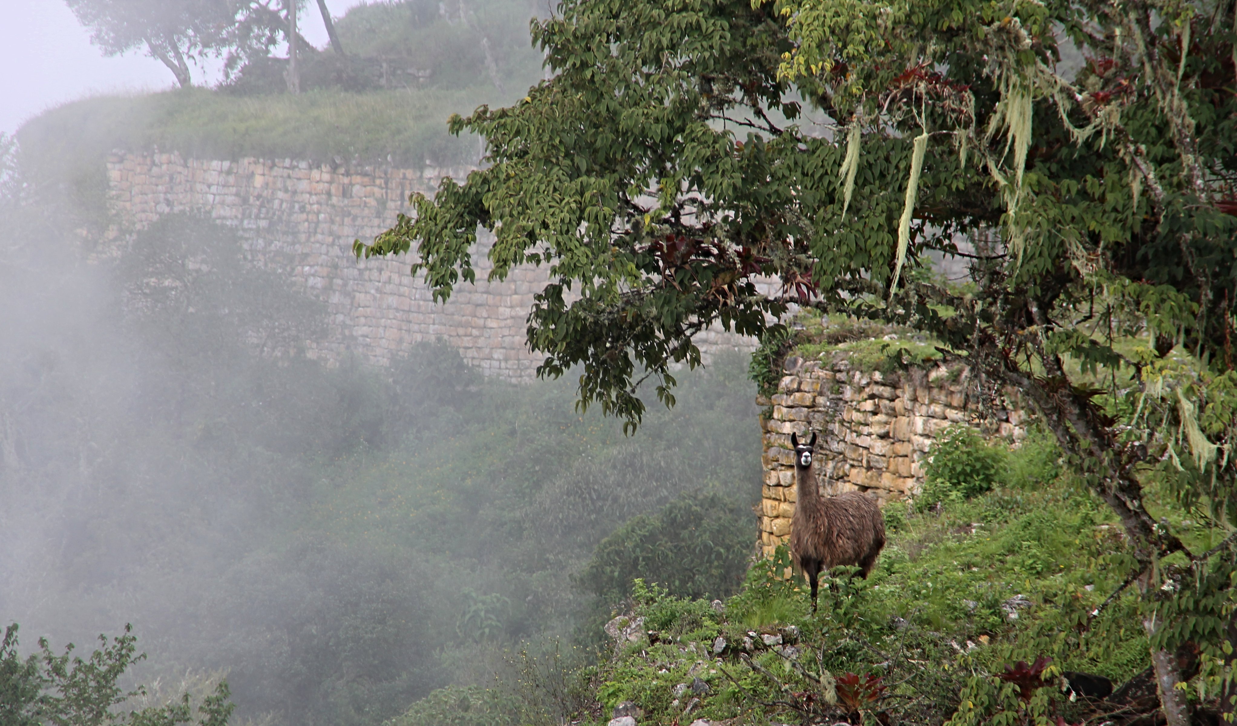 Die bekannteste Festung der Chachapoyas ist Kuelap, ein beliebtes Ausflugsziel ab der Stadt Chachapoyas.