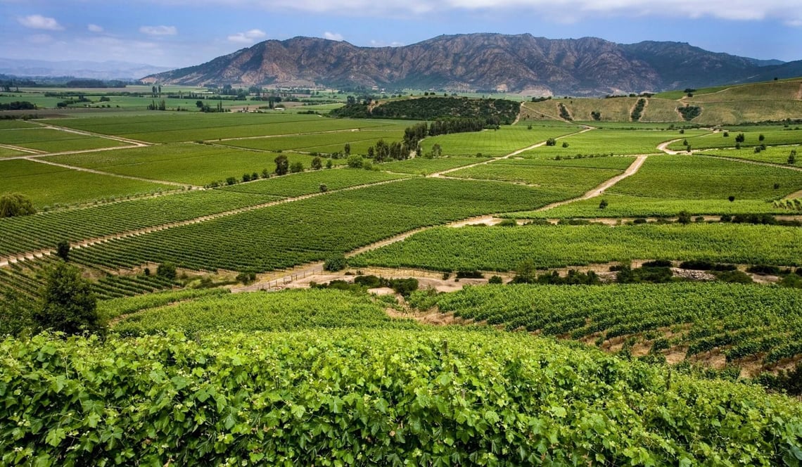 Colchagua Valley (1) (1)