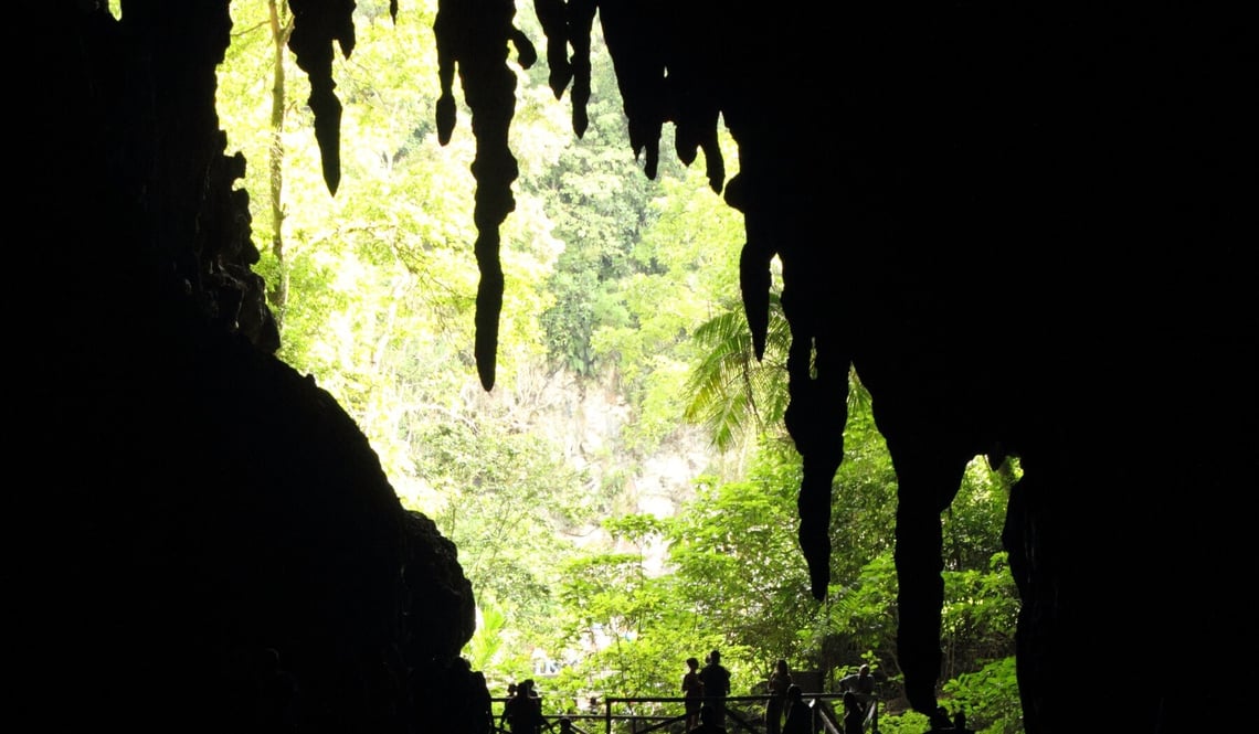 Cueva del Guacharo (1)