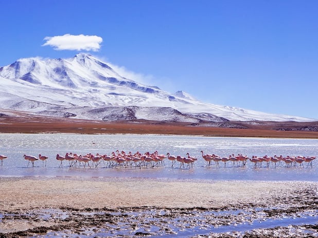 Salar de Uyuni Bolivien - Altiplano
