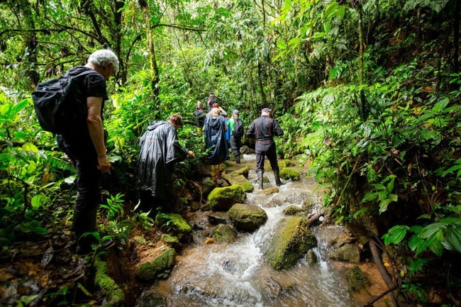 Auf der Erkundungstour im Regenwald sollte ein Regenponcho unbedingt dabei sein!