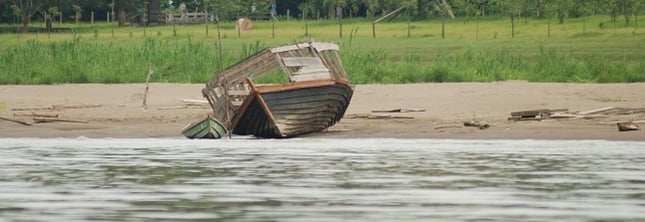 Top 10 Peru Highlights: Eines der Highlights am Amazonas: Riesige Seerosen.