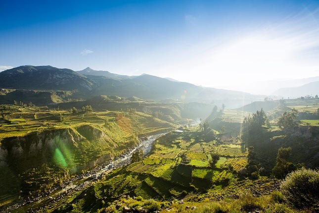 Top 10 Peru Highlights: majestätische Kondore lassen sich hervorraend beobachten in diesen tiefgrünen Schluchten.