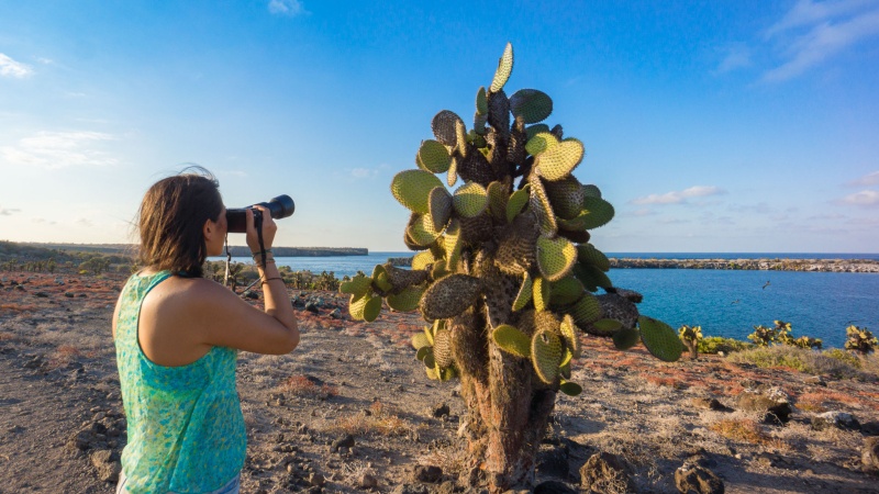 Lavaformationen, raue Felsen, paradiesische Strände und riesige Kakteen prägen das Inselbild von Galapagos.