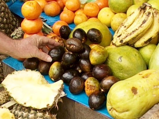 Die Frucht Umarí aus Peru: (c) Gabel Daniel Sotil García