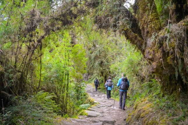 Zum aktuellen Stand im Sommer 2017 dürfen pro Tag 400 Wanderer auf dem Inkatrail unterwegs sein. 