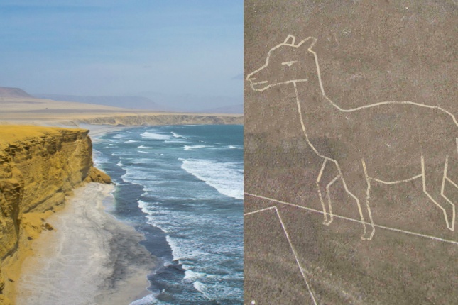 Küstenkunst in Peru: An der Küste ist noch Platz für mehr Nazca-Linien! Wie wäre es mit einem Alpaka?