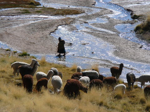 altiplano