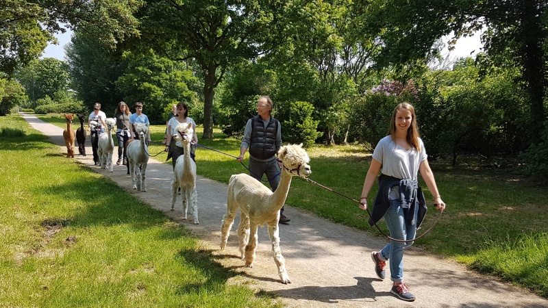 Alpakahöfe in Deutschland - Das Leben ist eine Alpakafarm!