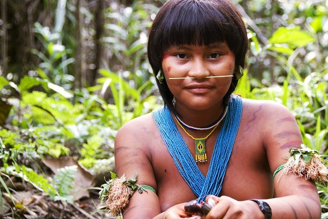 Indigene Völker im Amazonasgebiet: Eine junge Frau des Yanomami Stammes mit blauen und grünen Halsketten und einem gelben Stäbchen als Nasenschmuck schaut in die Kamera.