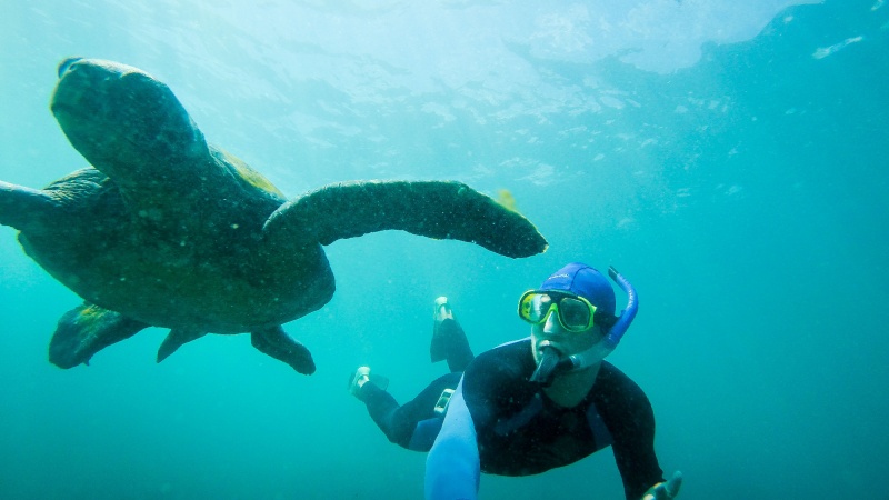 Tauchen zwischen Schildkröten, Meeresechsen und Mondfischen: Nur auf Galapagos!