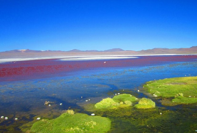 Salar de Uyuni Bolivien - Laguna Colorada