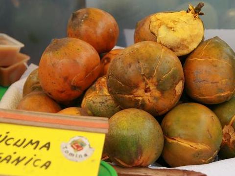 Exotische Früchte: Lucuma aus Peru