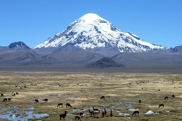 Sajama Vulkan