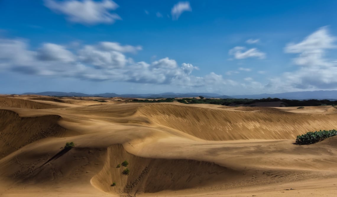 Medanos de Coro (1)