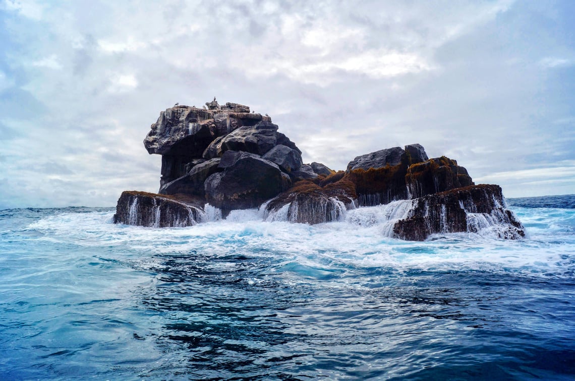 masha-buschujewa-kqh5_9hzAhY-unsplash