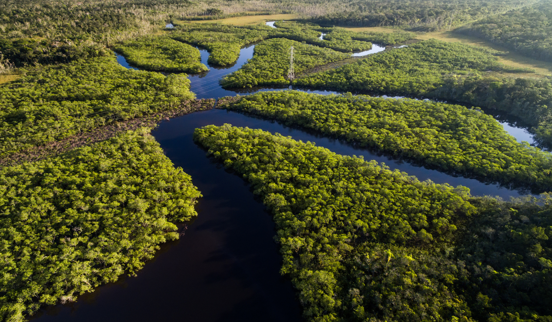 Luftaufnahme des Amazonas-Regenwalds
