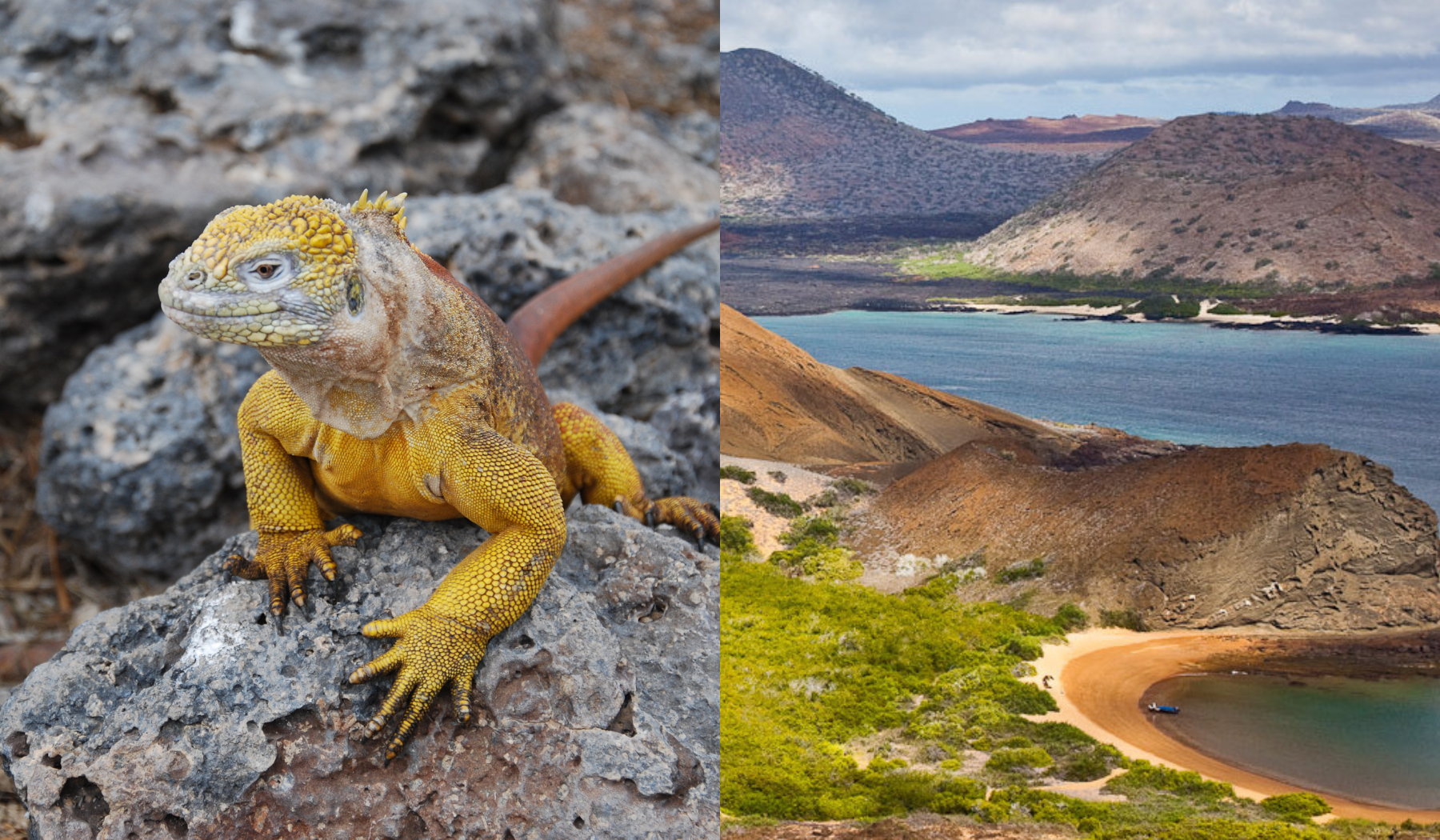 galapagos-island-nature