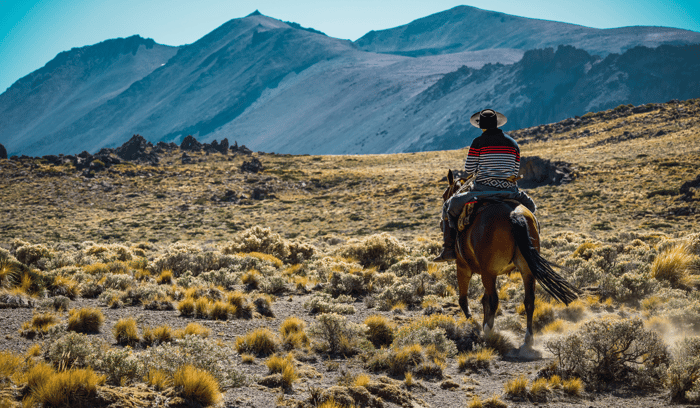 patagonia pferde reiten