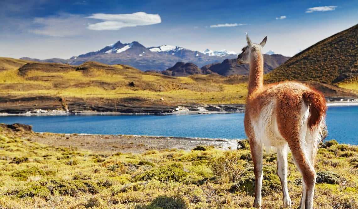 patagonia_BP_viv_09.22-3 (1)