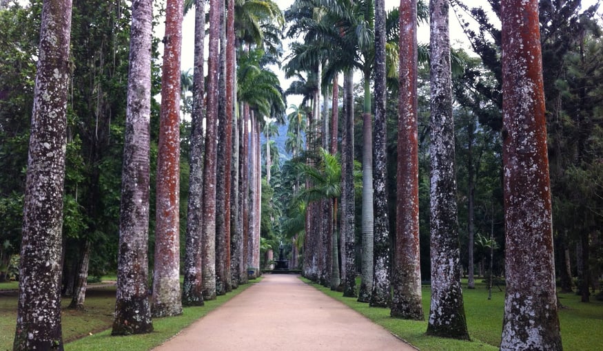 botanical garden rio